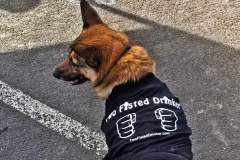 Two_Fisted_Drinker_Dog