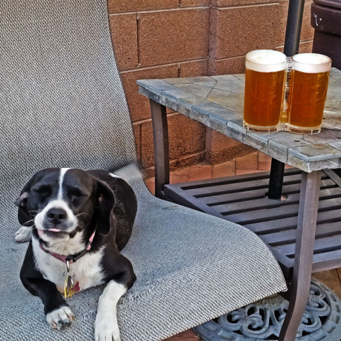 Caption Dog Two Fisted Drinker